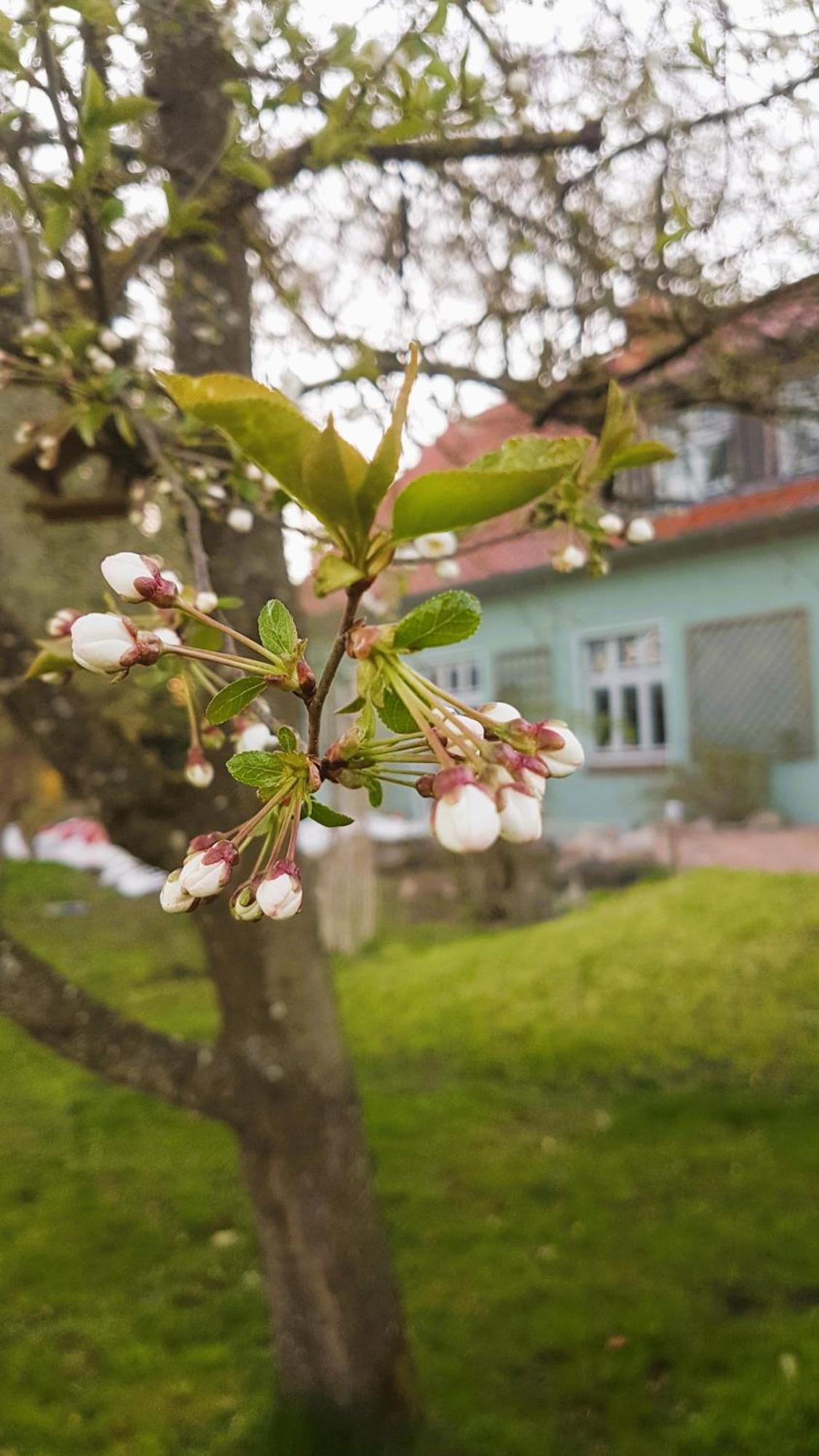 Ferienhaus Salvia Gremersdorf-Buchholz Luaran gambar
