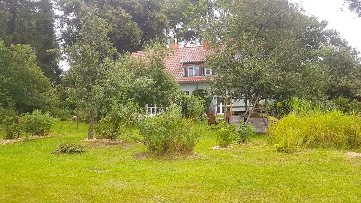 Ferienhaus Salvia Gremersdorf-Buchholz Luaran gambar