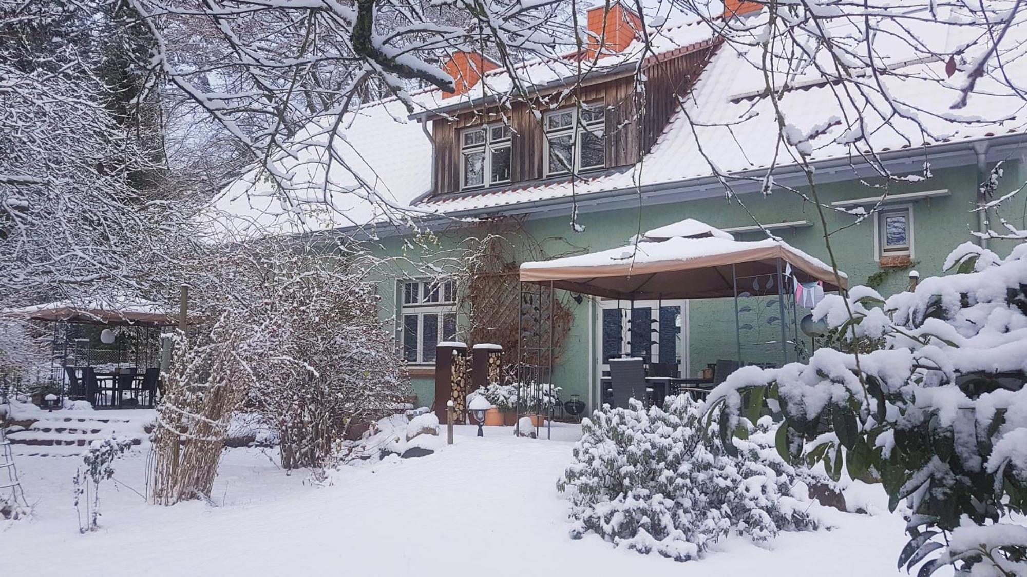Ferienhaus Salvia Gremersdorf-Buchholz Luaran gambar