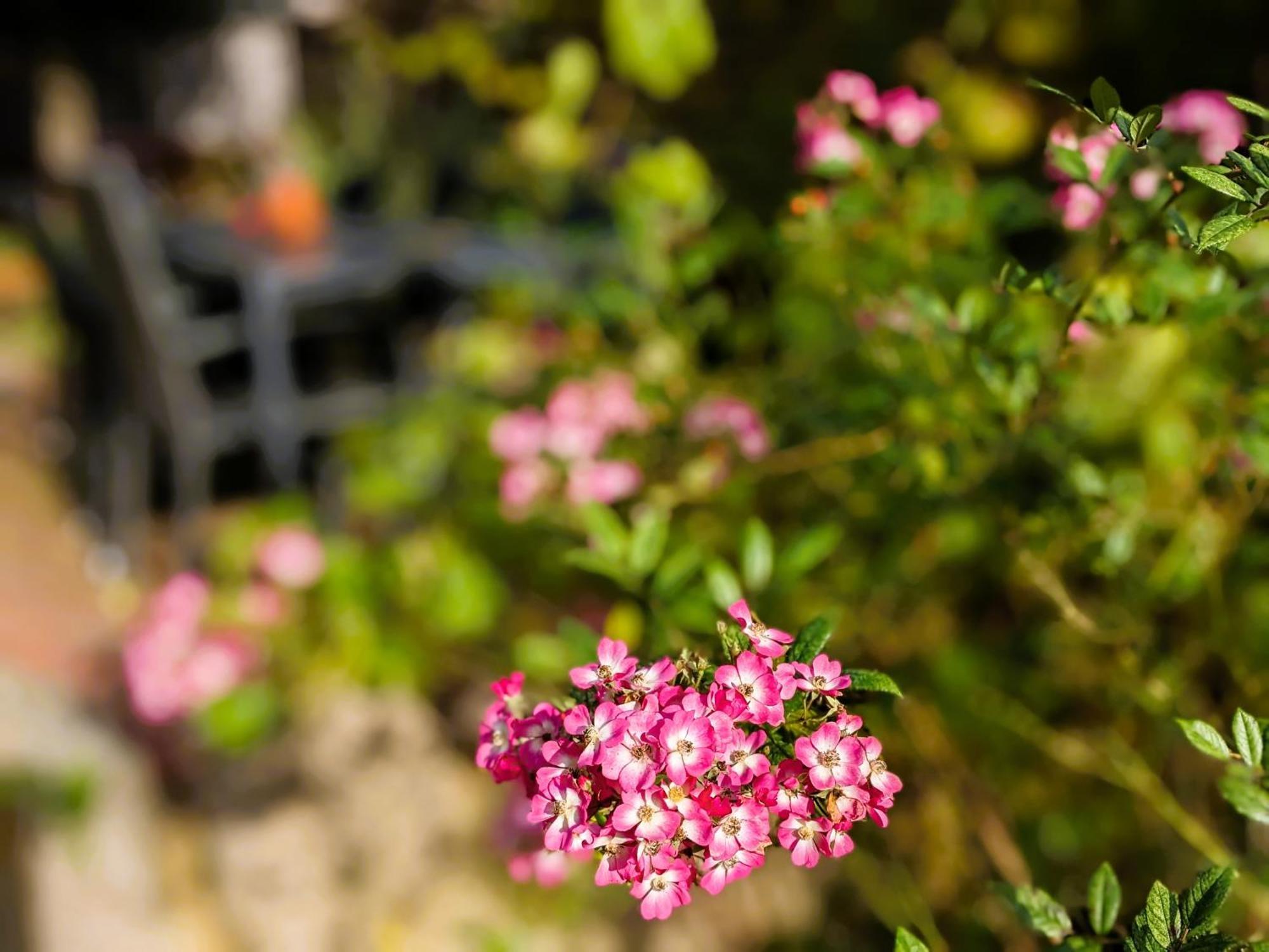 Ferienhaus Salvia Gremersdorf-Buchholz Luaran gambar