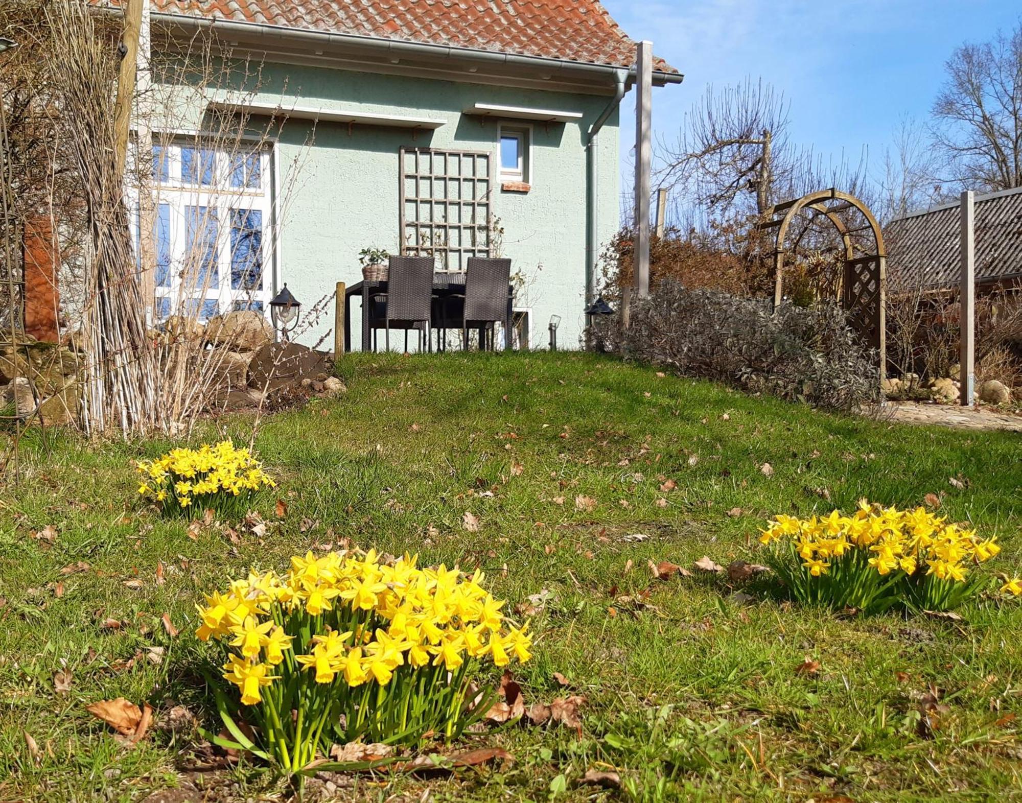 Ferienhaus Salvia Gremersdorf-Buchholz Luaran gambar