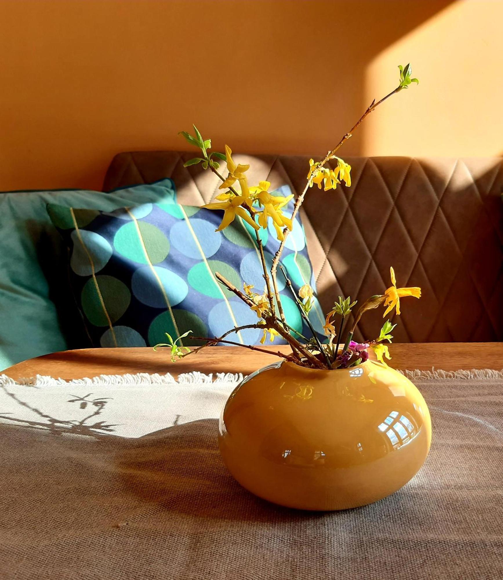 Ferienhaus Salvia Gremersdorf-Buchholz Luaran gambar